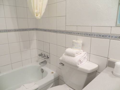 Imagen de la habitación del Hotel Aspen Village Inn. Foto 7