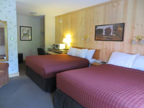 Imagen de la habitación del Hotel Aspen Village Inn. Foto 11