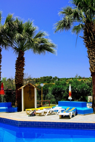 Imagen de la piscina del Hotel Aspro. Foto 14