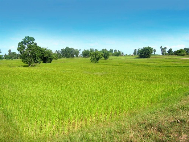 Imagen de los exteriores del Hotel Assaradevi Villa & Spa Chiang Mai. Foto 5