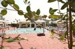 Imagen de la piscina del Hotel Assembly. Foto 9