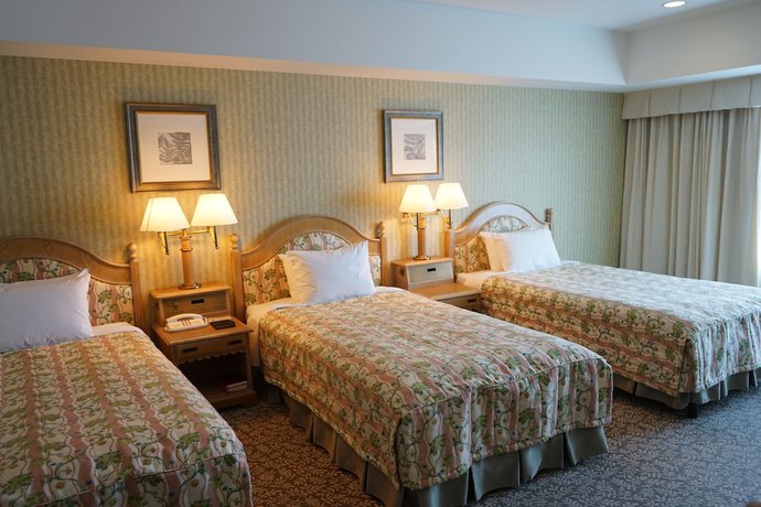 Imagen de la habitación del Hotel Associa Takayama Resort. Foto 11