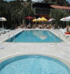 Imagen de la piscina del Hotel Assos Park. Foto 5