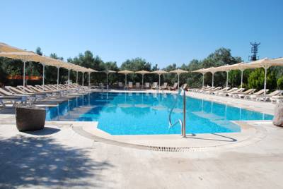 Imagen de la piscina del Hotel Assos Park. Foto 6