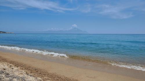 Imagen general del Hotel Asteras, Sarti. Foto 4