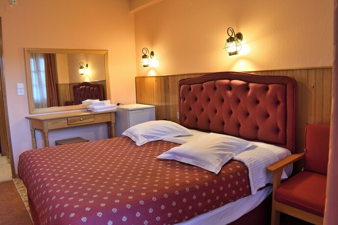 Imagen general del Hotel Asteri Metsovo. Foto 7