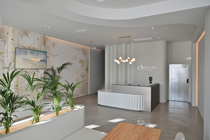 Imagen de los interiores del Hotel Asters. Foto 15