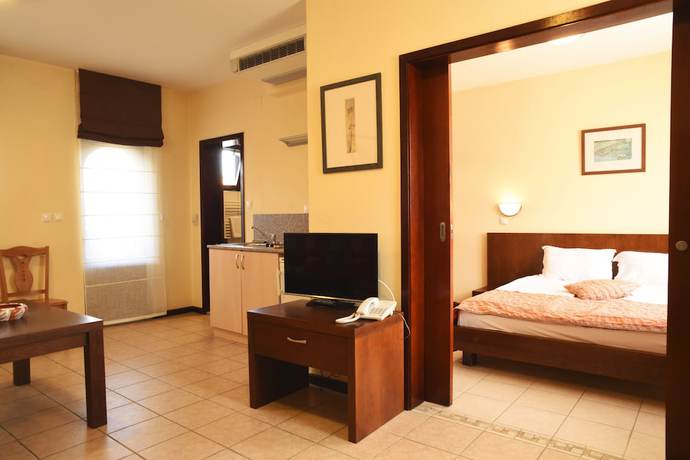 Imagen de la habitación del Hotel Asti Arthotel. Foto 16