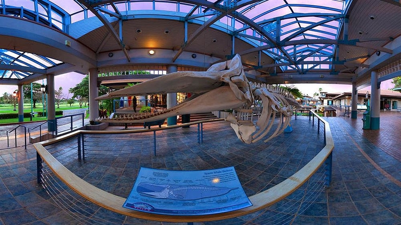 Imagen de los exteriores del Hotel Aston At The Whaler On Kaanapali Beach. Foto 10