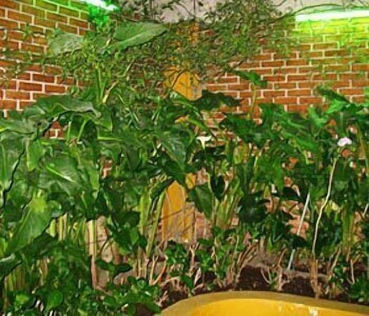 Imagen general del Hotel Astorga, Miraflores. Foto 2