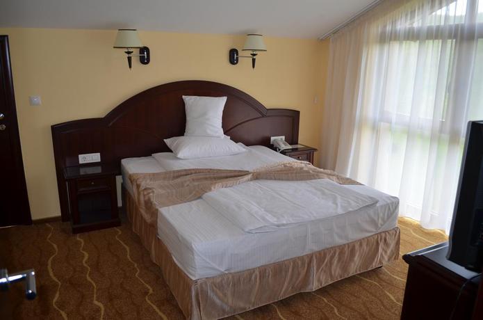 Imagen de la habitación del Hotel Astoria, Alba Iulia. Foto 3