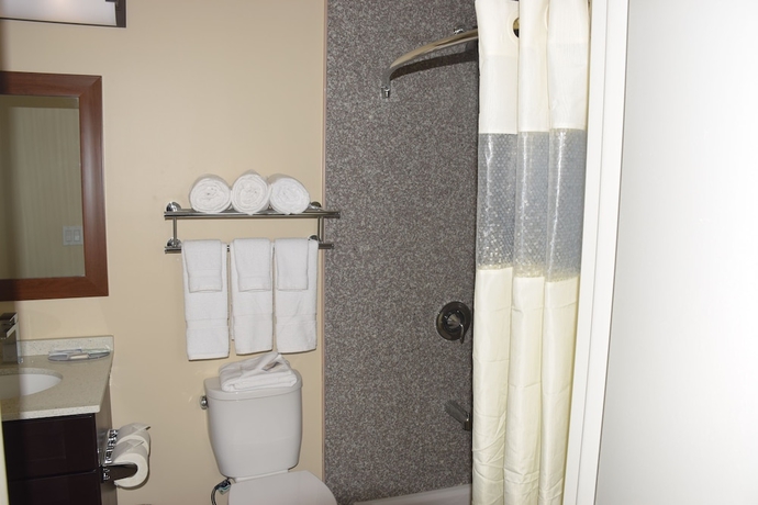 Imagen de la habitación del Hotel Astoria Delancy Inn and Suites. Foto 12