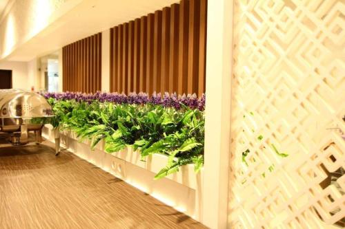 Imagen general del Hotel Astoria, Durian Payung. Foto 3