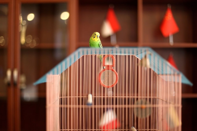 Imagen de los interiores del Hotel Astoria, Tbilisi. Foto 19