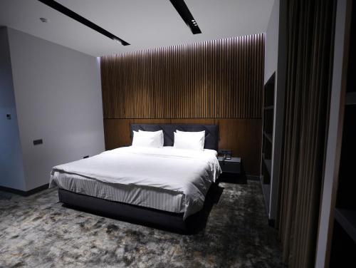 Imagen general del Hotel Astra hotel. Foto 5