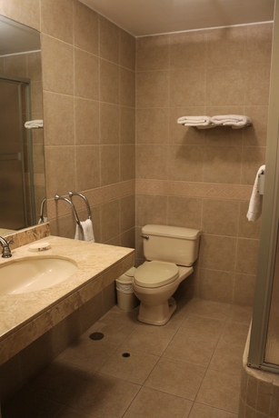 Imagen de la habitación del Hotel Asturias Gold. Foto 13