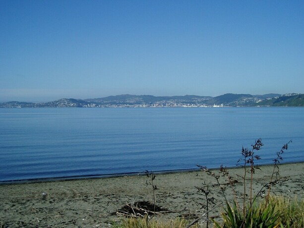 Imagen general del Hotel Asure 83 By The Sea Motor Lodge. Foto 1