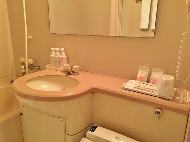 Imagen de la habitación del Hotel Asyl Nara Annex. Foto 10