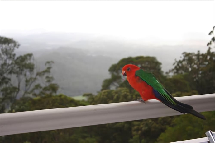 Imagen de los exteriores del Hotel At Sunrise Cottages. Foto 15