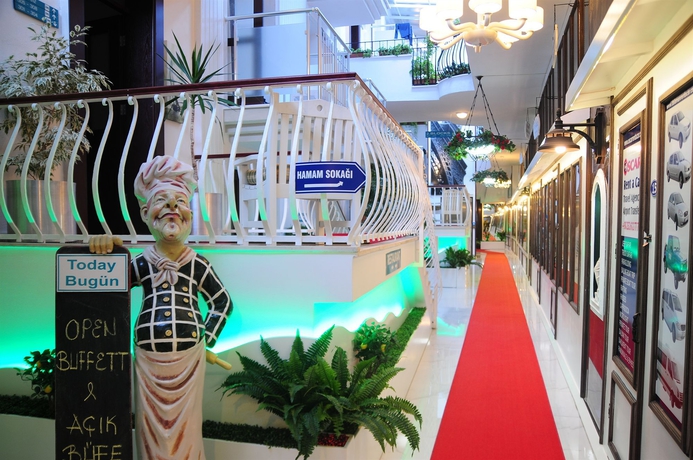 Imagen de los interiores del Hotel Ata Park. Foto 11