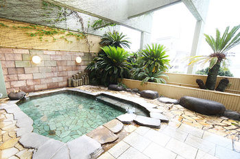 Imagen de la piscina del Hotel Atagawa Onsen Oruri. Foto 14