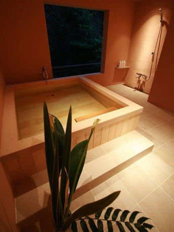 Imagen de la piscina del Hotel Atagawakan. Foto 13
