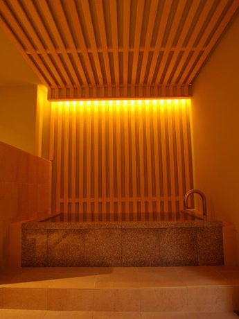 Imagen de la piscina del Hotel Atagawakan. Foto 14