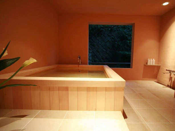 Imagen de la piscina del Hotel Atagawakan. Foto 15