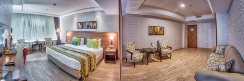 Imagen de la habitación del Hotel Atakosk Group Hotels. Foto 6