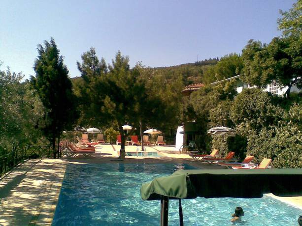 Imagen de la piscina del Hotel Atamer. Foto 20