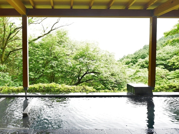 Imagen de la piscina del Hotel Atami Morino Onsen. Foto 18