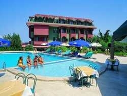Imagen de la piscina del Hotel Atan Park. Foto 4