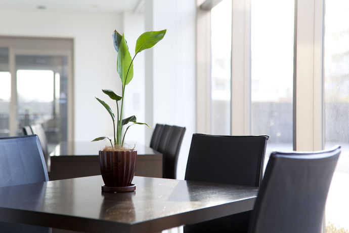 Imagen de la habitación del Hotel Athena Kaigetsu. Foto 7