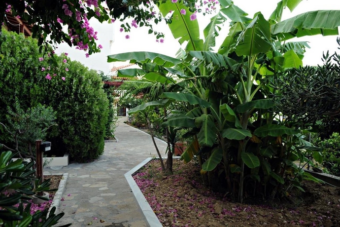 Imagen general del Hotel Athena, Kokkari. Foto 7