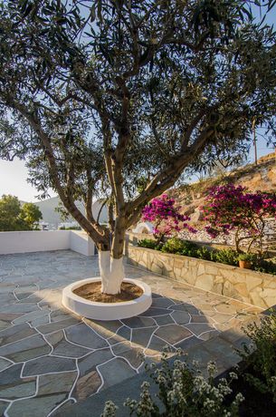 Imagen general del Hotel Athena Rooms. Foto 4