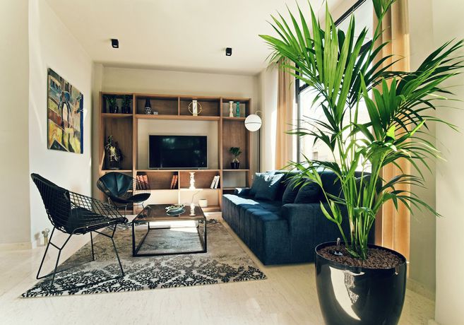 Imagen general del Hotel Athens Iris. Foto 1