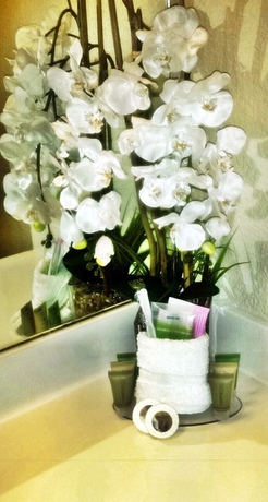Imagen de la habitación del Hotel Athens Suites, Houston. Foto 2