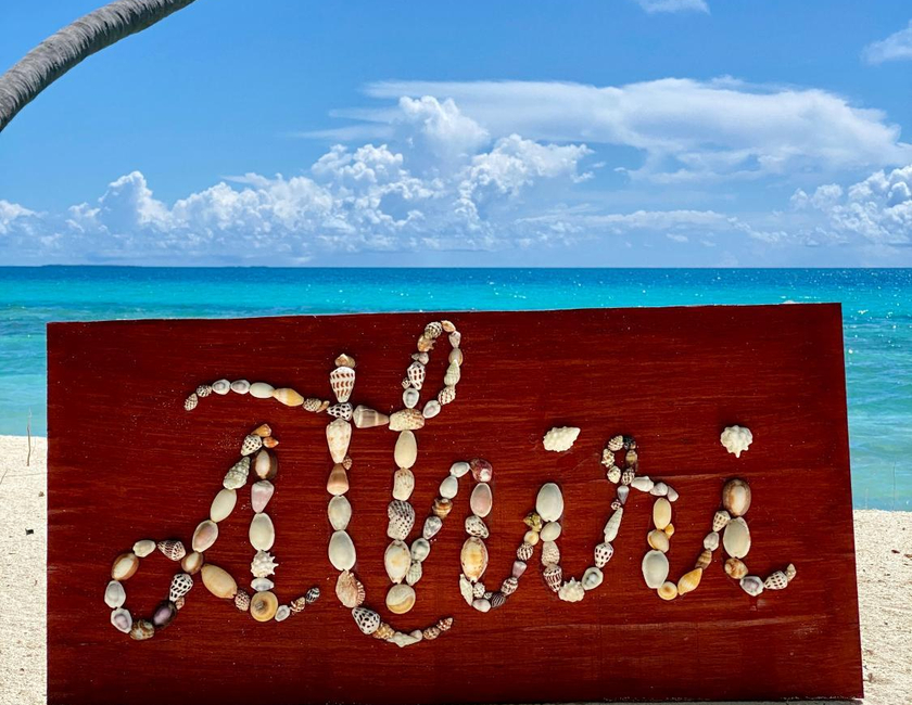 Imagen general del Hotel Athiri Beach Maldives. Foto 8