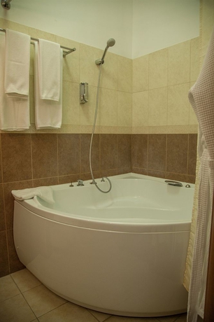 Imagen de la habitación del Hotel Atlanta Sheremetyevo. Foto 4