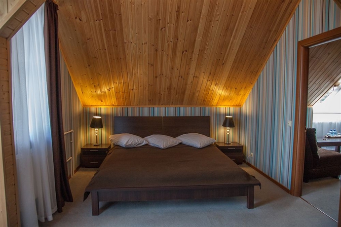 Imagen de la habitación del Hotel Atlanta Sheremetyevo. Foto 6