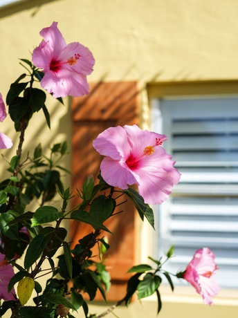 Imagen de los exteriores del Hotel Atlantic Hideaway. Foto 13