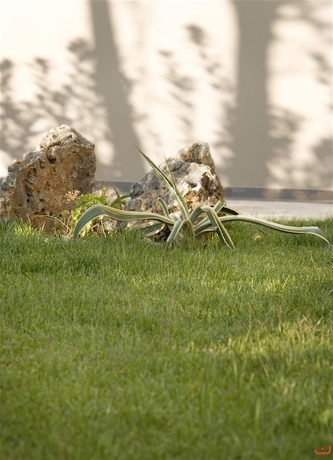 Imagen de los exteriores del Hotel Atlantica Amalthia Beach – Adults Only. Foto 6