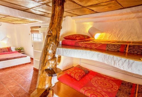 Imagen de la habitación del Hotel Atlantis Dive Resort Puerto Galera. Foto 10
