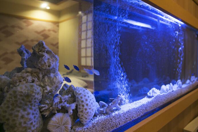Imagen general del Hotel Atlantis Higashiosaka - Adults Only. Foto 14