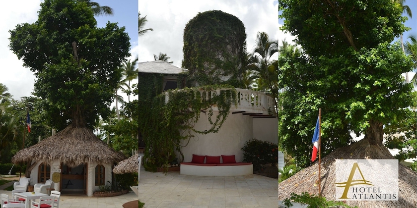 Imagen de los interiores del Hotel Atlantis, Las Terrenas. Foto 18