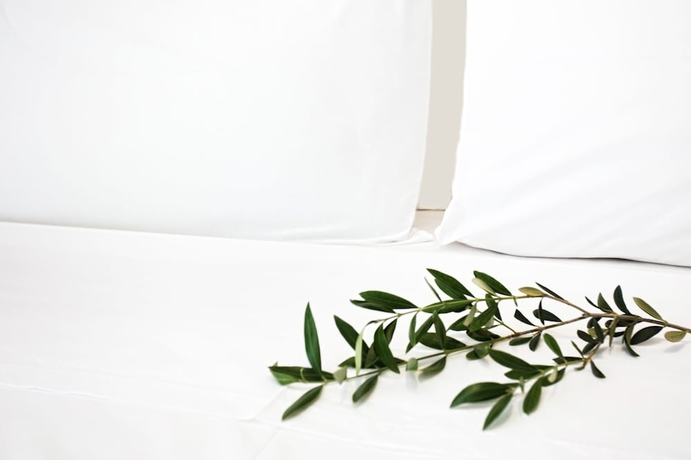 Imagen de la habitación del Hotel Atlas Skiathos. Foto 8