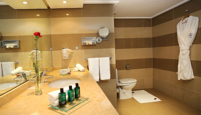 Imagen de la habitación del Hotel Atlas Terminus and Spa. Foto 10