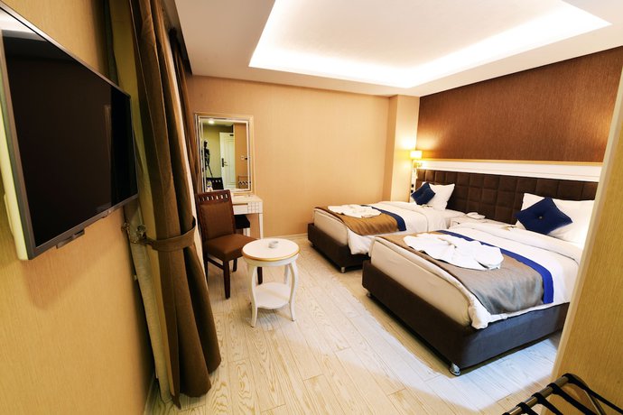Imagen de la habitación del Hotel Atlihan Park. Foto 3