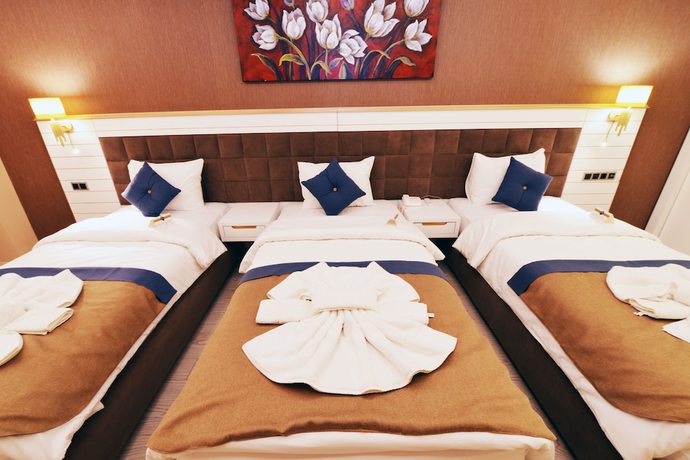 Imagen de la habitación del Hotel Atlihan Park. Foto 4