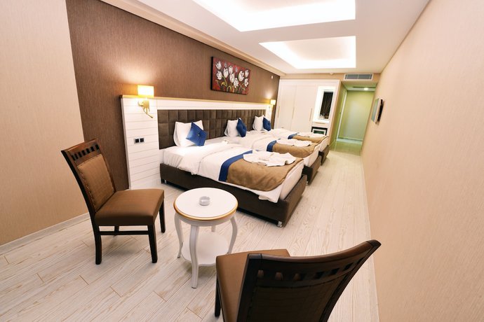 Imagen de la habitación del Hotel Atlihan Park. Foto 7